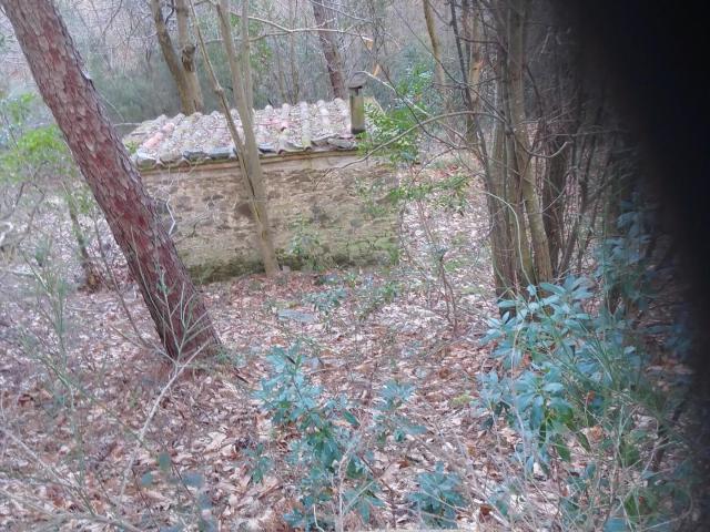 Terreno in vendita a Capannori, Toscana