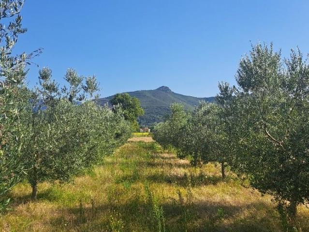 Terreno in vendita a San Benedetto, Cascina