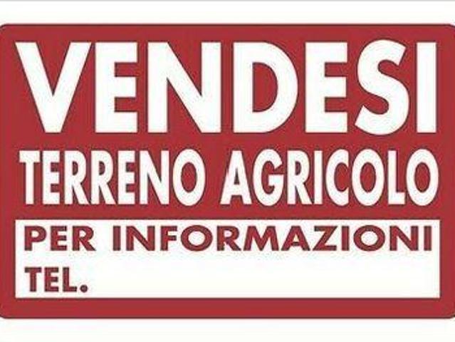 Terreno in vendita a Navacchio, Cascina