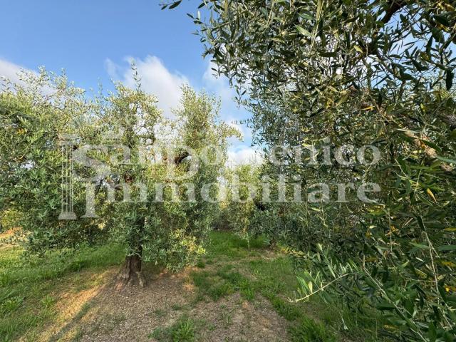 Terreno in vendita a Ripoli, Cascina