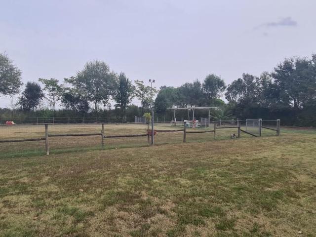 Terreno in vendita a Castelfranco Di Sotto, Toscana