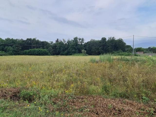 Terreno in vendita a Castelfranco Di Sotto, Toscana