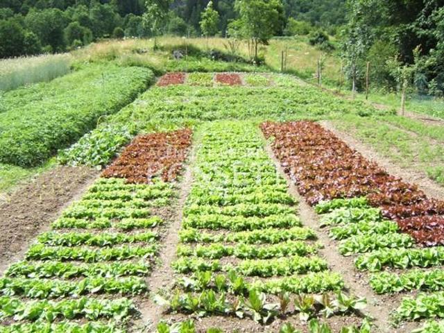 Terreno in vendita a Unione dei Comuni Circondario dell'Empolese Valdelsa, Cerreto Guidi
