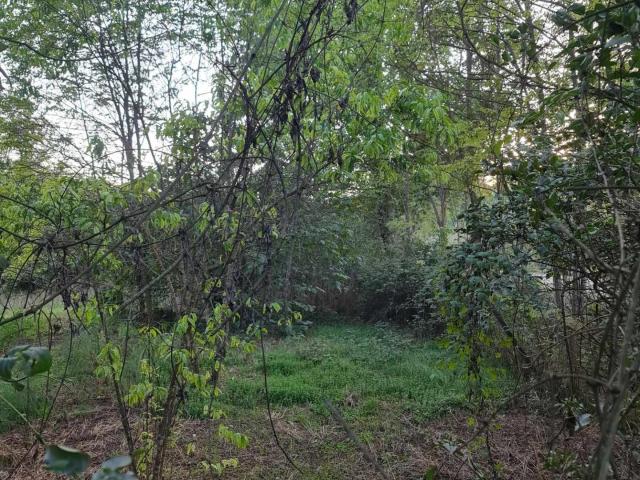 Terreno in vendita a Gracciano dell'Elsa, Colle di Val d'Elsa