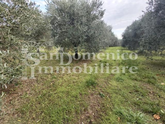 Terreno in vendita a Collesalvetti, Toscana