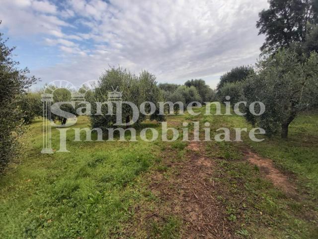 Terreno in vendita a Collesalvetti, Toscana