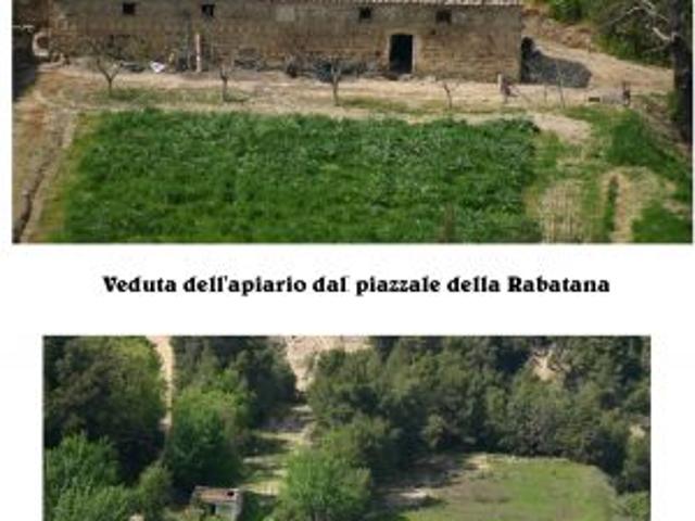 Terreno in vendita a Tursi, Basilicata