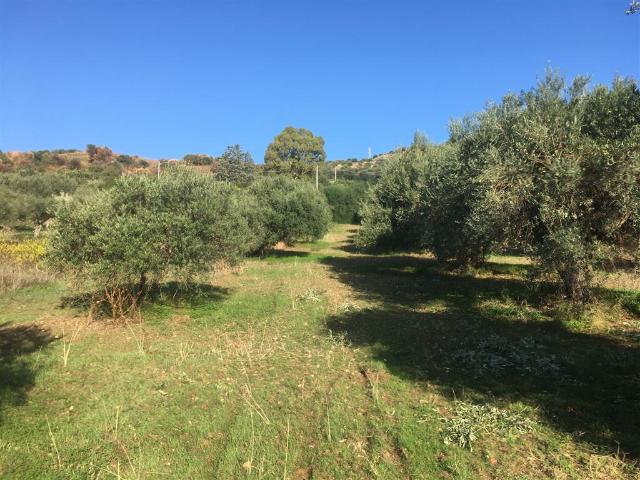 Terreno in vendita a Casteldaccia, Sicilia