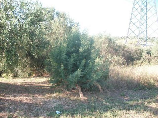 Terreno in vendita a Quartiere Trento e Trieste, Lanciano