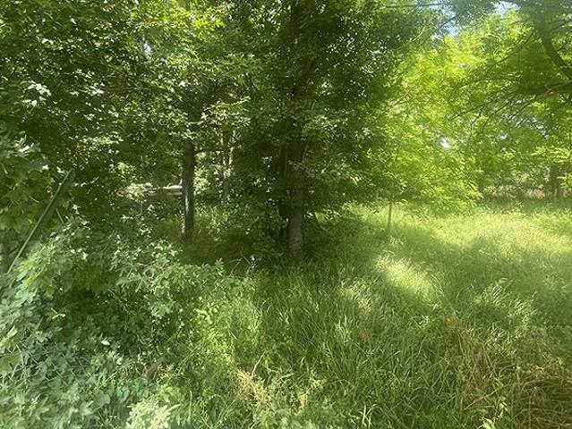 Terreno in vendita a Lecchi, Toscana