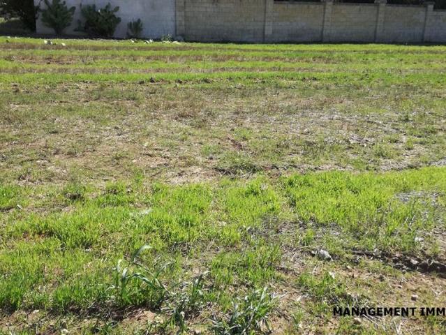 Terreno in vendita a Puglia, Lecce