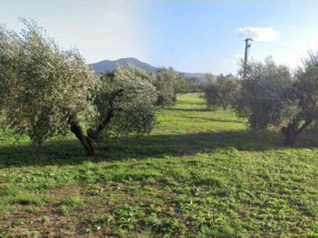 Terreno in vendita a Scarlino, Toscana