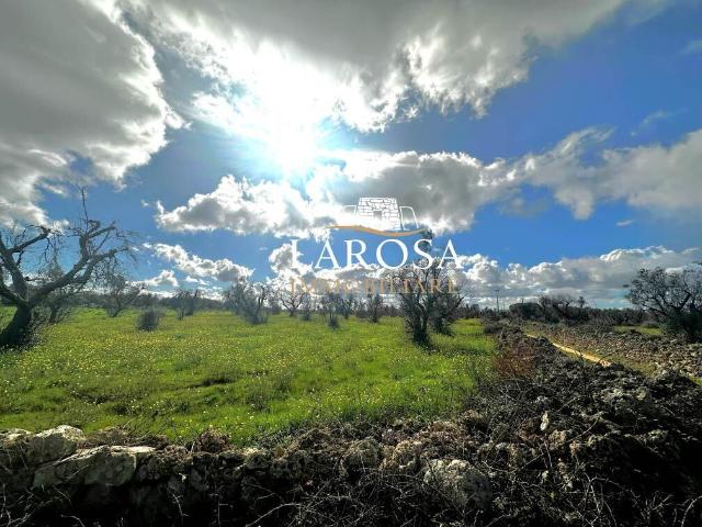 Terreno in vendita a Pisignano, Puglia
