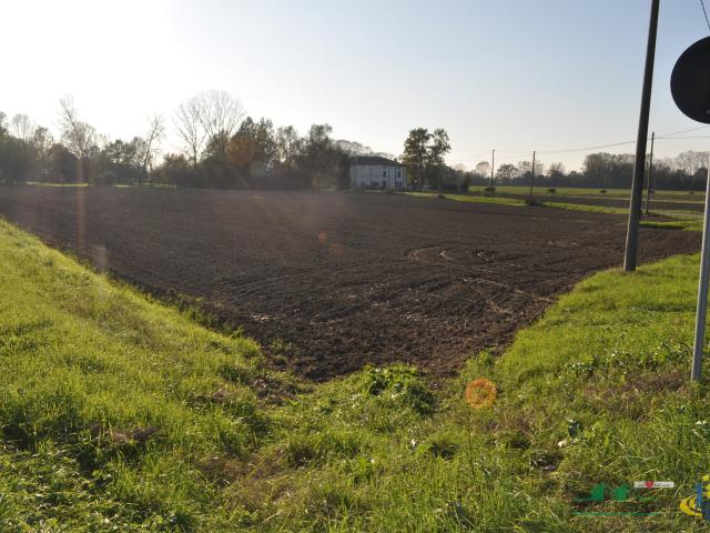 Terreno in vendita a Golese, Sorbolo