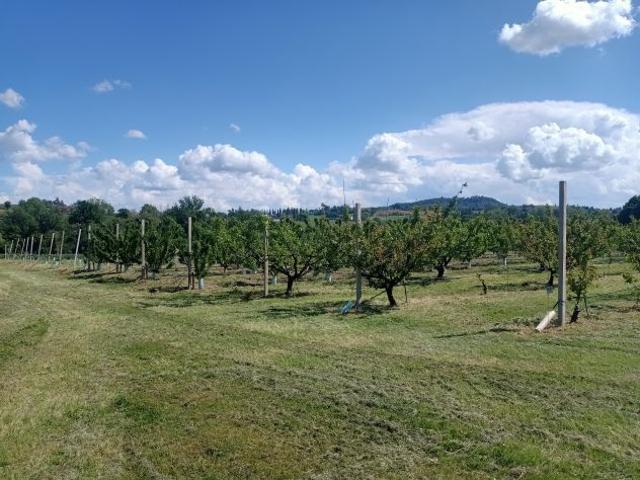 Terreno in vendita a Unione dei comuni Valli del Reno, Lavino e Samoggia, Montebudello