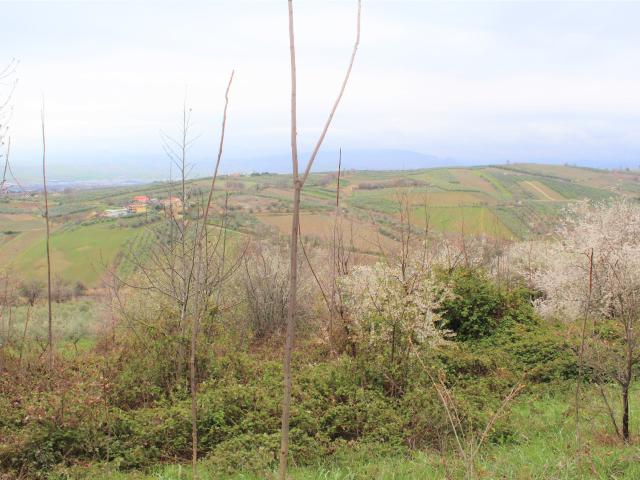 Terreno in vendita a Mozzagrogna, Abruzzo