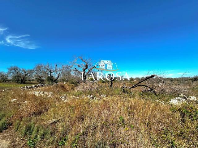 Terreno in vendita a Puglia, Lecce