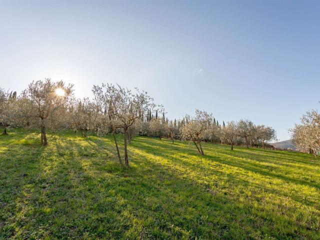 Terreno in vendita a L'Annunziata, Luni