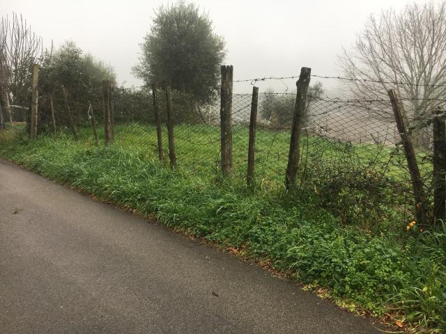 Terreno in vendita a Roma Capitale, Lazio