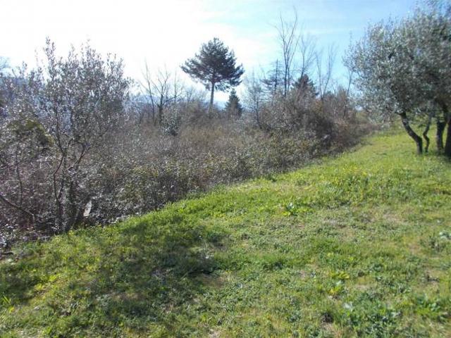 Terreno in vendita a Vaglia, Toscana