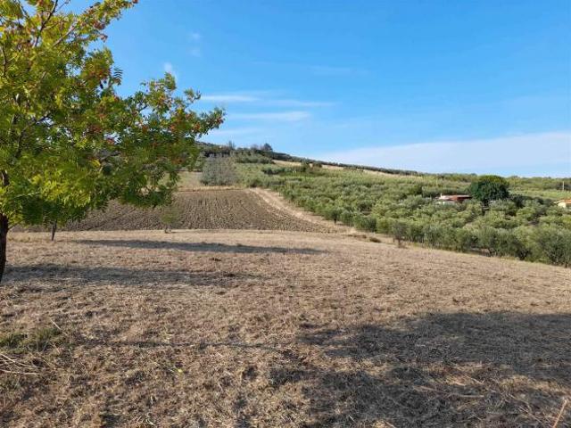 Terreno in vendita a Vasto, Abruzzo