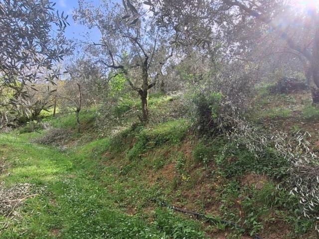 Terreno in vendita a Bagni Di Lucca Ponte, Toscana
