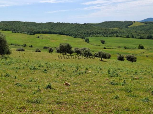 Terreno in vendita a Unione di Comuni Montani Colline del Fiora, Manciano