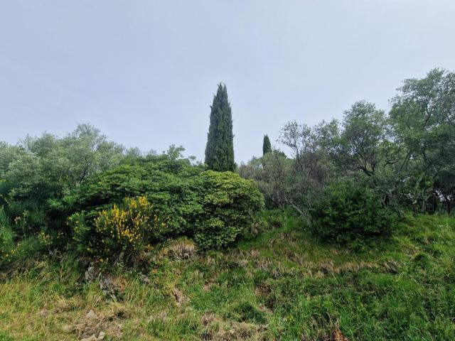Terreno in vendita a L'Annunziata, Luni
