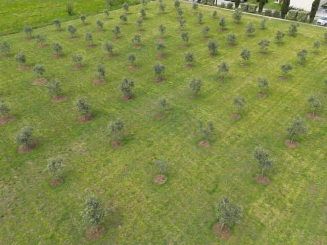 Terreno in vendita a Portonetti, Luni