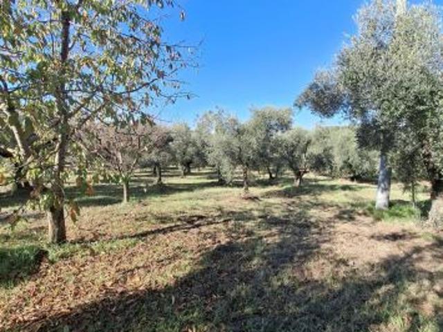 Terreno in vendita a Roma Capitale, Lazio