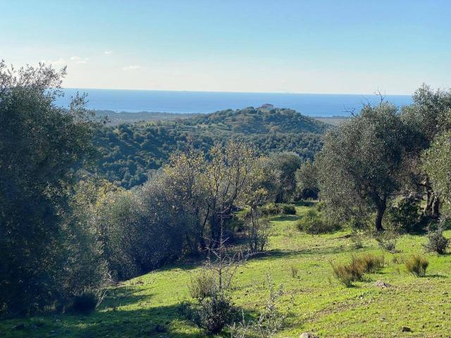 Terreno in vendita a Vignale, Piombino
