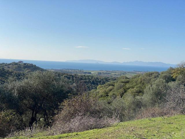 Terreno in vendita a Vignale, Piombino