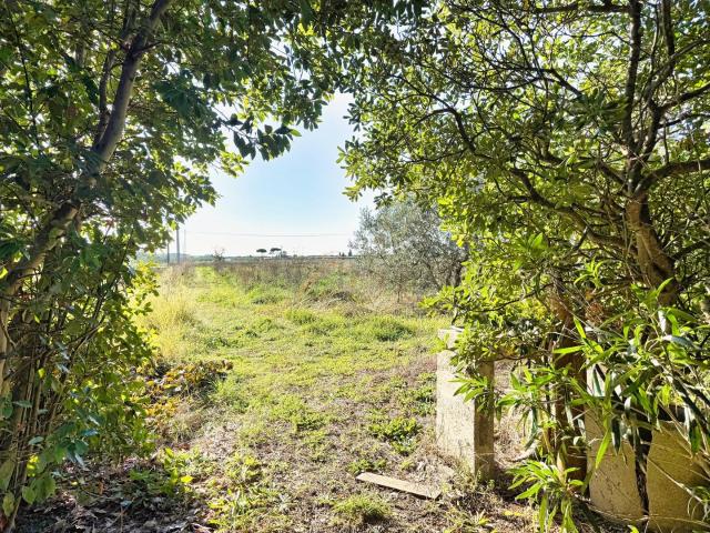 Terreno in vendita a Riotorto Vecchio, Piombino