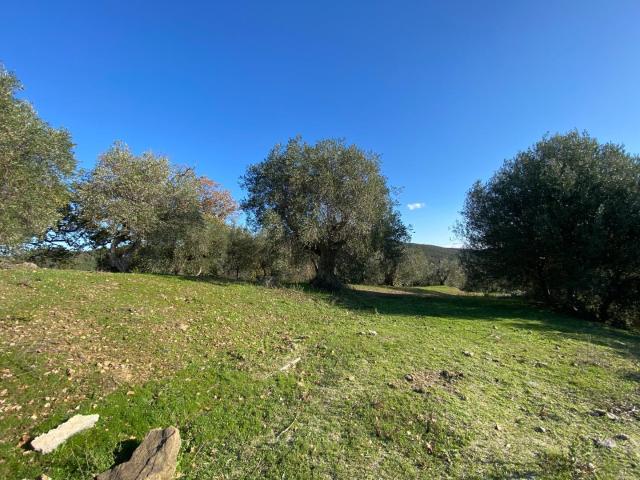 Terreno in vendita a Vignale, Piombino