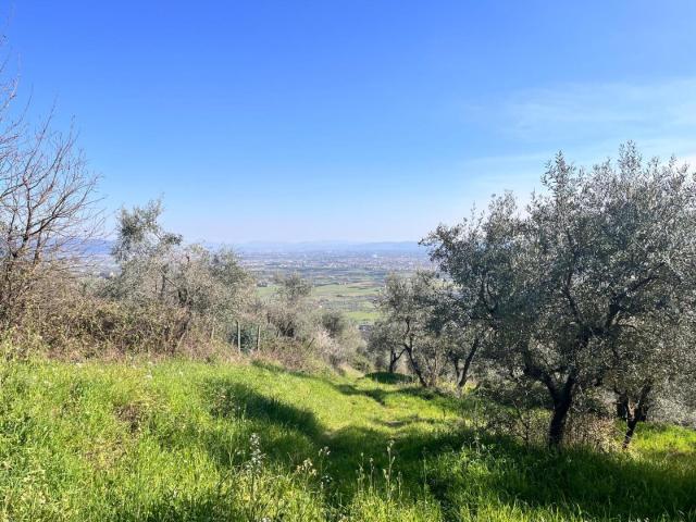 Terreno in vendita a Pistoia, Toscana