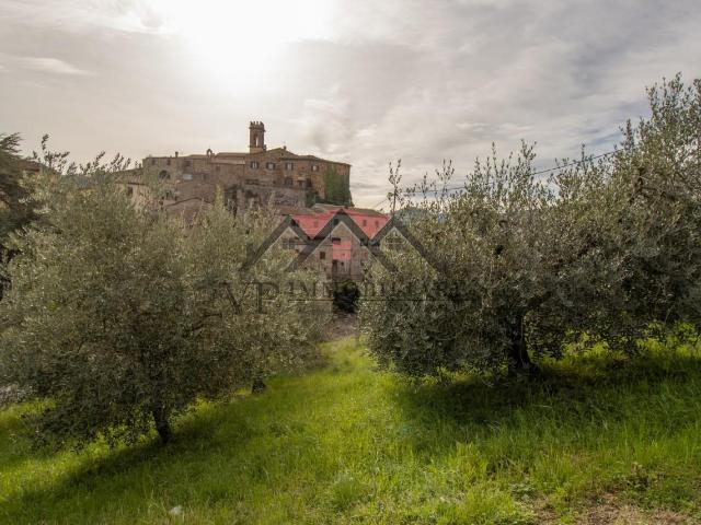 Terreno in vendita a Montecerboli, Larderello