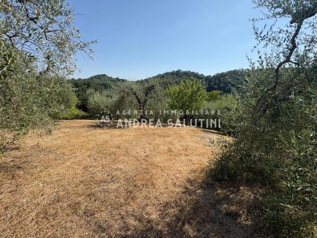 Terreno in vendita a Pontedera, Toscana