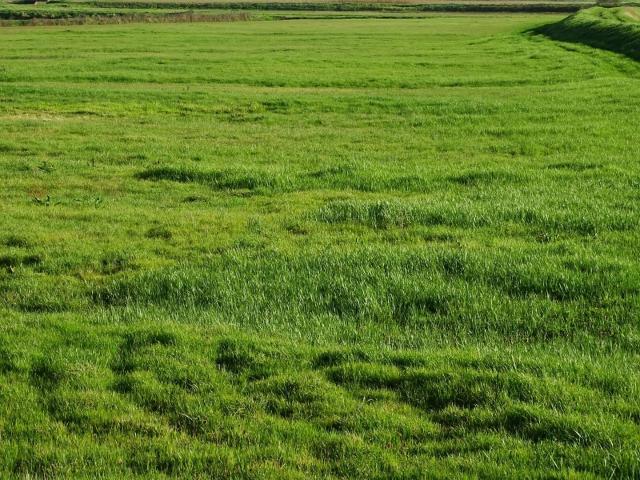 Terreno in vendita a La Scala, San Miniato
