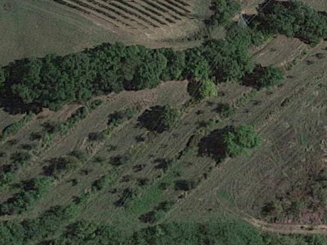 Terreno in vendita a San Miniato, Toscana