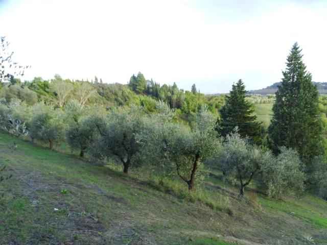 Terreno in vendita a La Scala, San Miniato