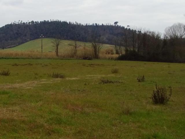 Terreno in vendita a San Miniato, Toscana
