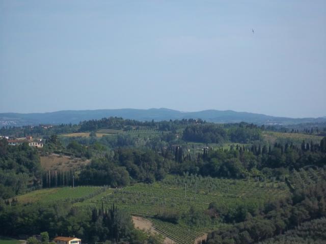 Terreno in vendita a Corniano, San Miniato