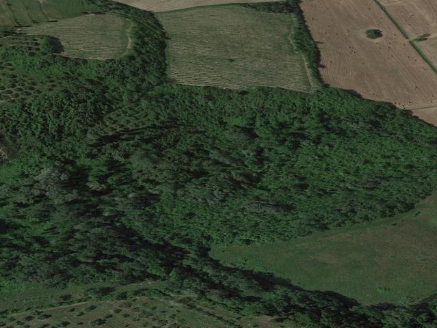 Terreno in vendita a San Miniato, Toscana