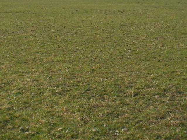 Terreno in vendita a San Donato, Santa Maria A Monte