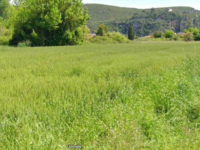 Terreno in vendita a Migliarino Pisano, Vecchiano