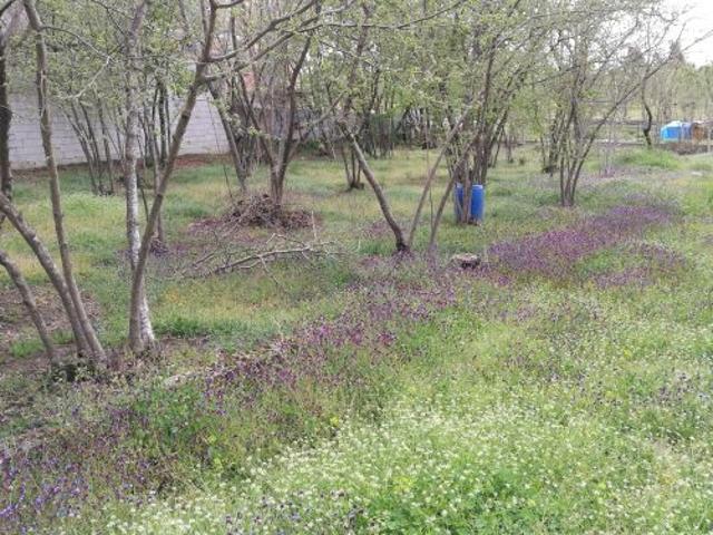 Terreno in vendita a Atripalda, Campania