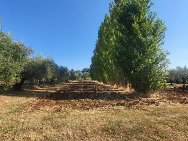 Terreno in vendita a Ulica, Roma Capitale