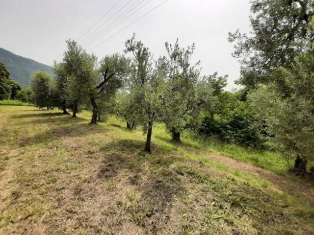 Box in vendita a Comunità montana della Valle Sabbia, Roè Volciano