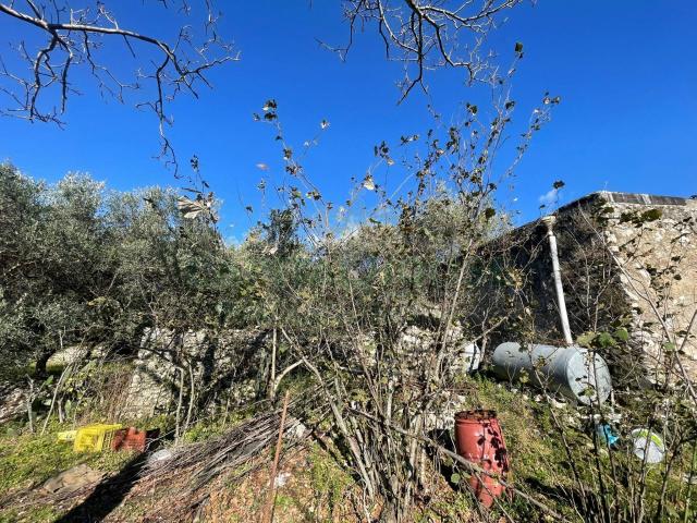 Terreno in vendita a Avella, Campania