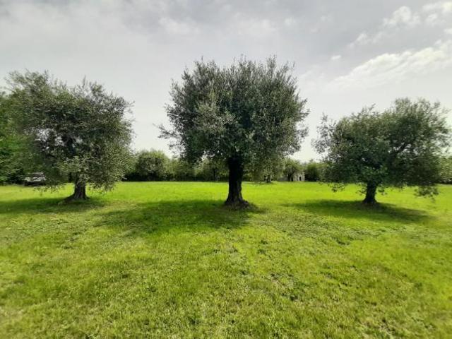 Box in vendita a San Felice Del Benaco, Lombardia